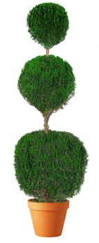 Preserved Triple Ball Topiary 40 inch